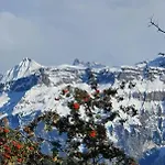 Ankerplatz Apartmán Spiez