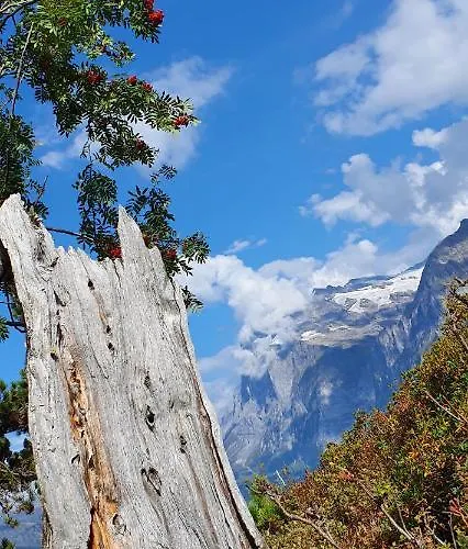 Lägenhet Ankerplatz