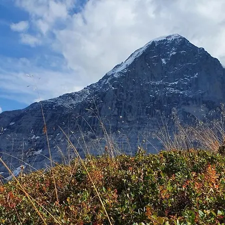 Ankerplatz Appartement Spiez