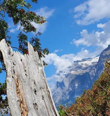 Apartament Ankerplatz