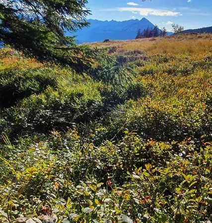 Appartement Ankerplatz *