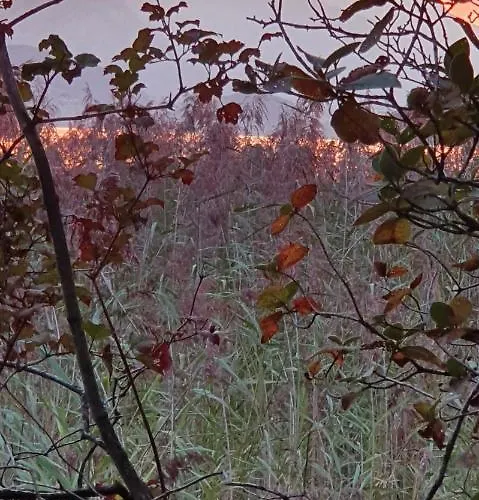 Appartement Ankerplatz Spiez