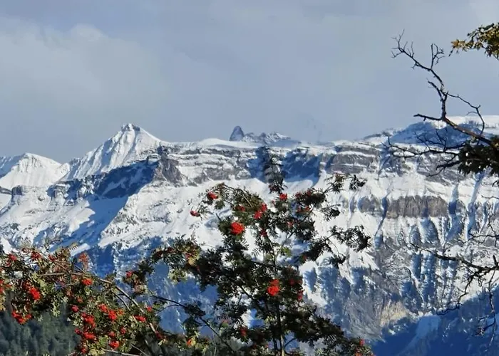 Ankerplatz Appartement Spiez