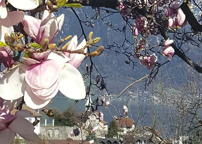 아파트 Ankerplatz