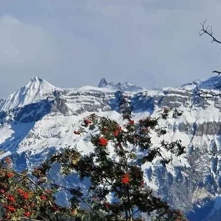 Ankerplatz Apartamento Spiez