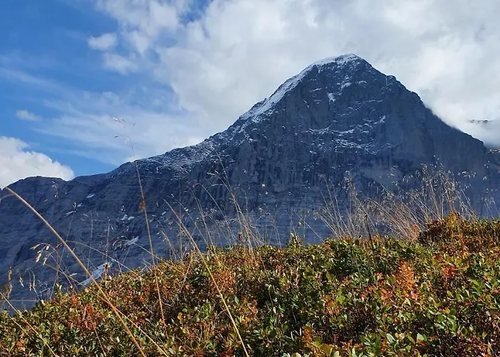 Ankerplatz Apartman Spiez