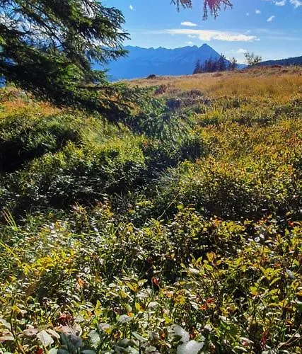 Apartman Ankerplatz *