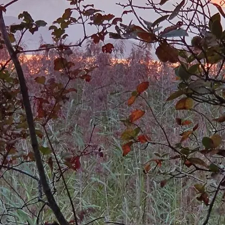 Apartman Ankerplatz Spiez